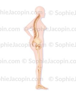SILHOUETTE DE FEMME DE 60 ANS ATTEINTE D&rsquo;OSTÉOPOROSE